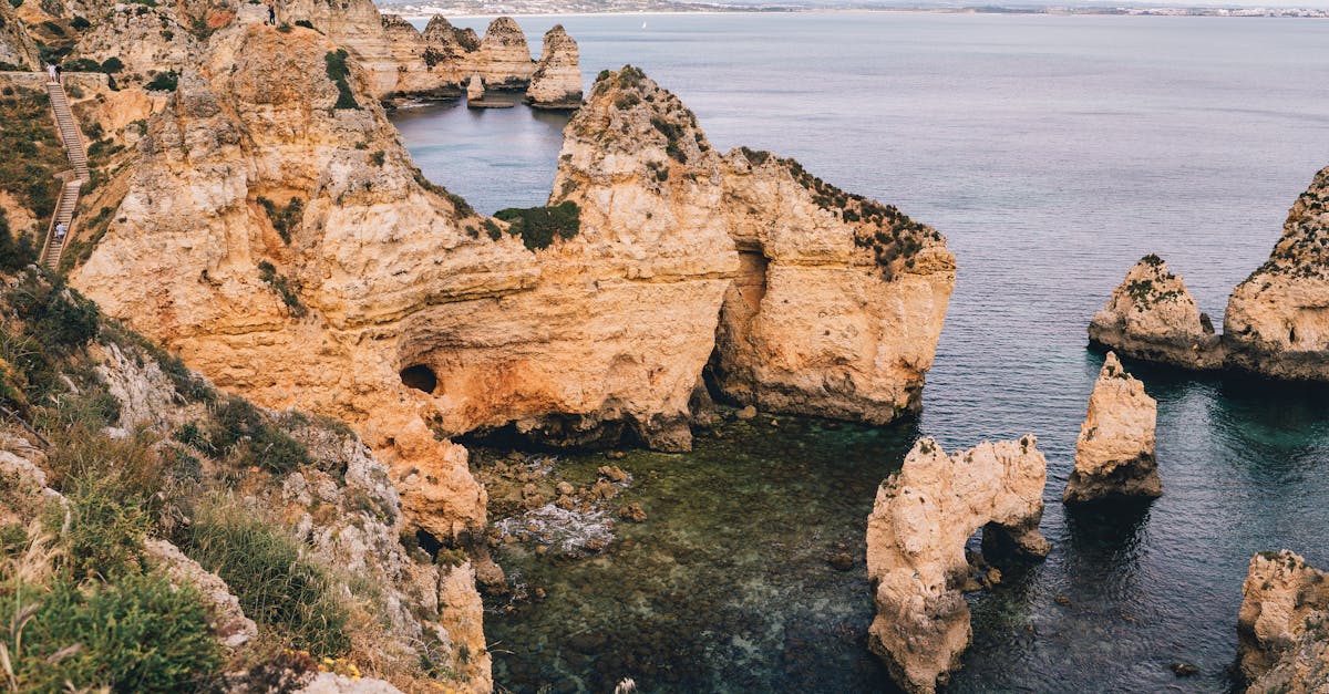 découvrez l'univers fascinant des caves : un espace dédié à la conservation des vins, des secrets de vinification aux techniques de vieillissement. apprenez comment aménager votre propre cave, sélectionner les bouteilles idéales et savourer chaque gorgée avec nos conseils d'experts.