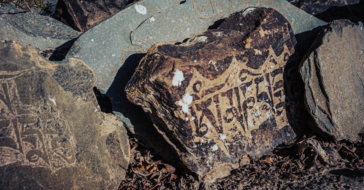 découvrez des artefacts préhistoriques fascinants qui témoignent de la vie et des coutumes de nos ancêtres. plongez dans l'histoire ancienne et explorez les objets emblématiques de la préhistoire.