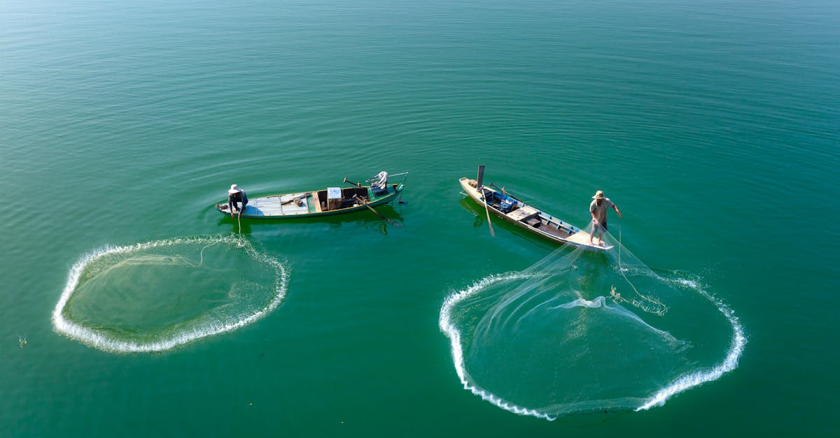 découvrez les joies du canoë-kayak, un sport aquatique accessible à tous, idéal pour explorer la nature, se ressourcer et s'amuser en famille ou entre amis. profitez de balades sur les rivières et lacs tout en développant votre technique et votre endurance.