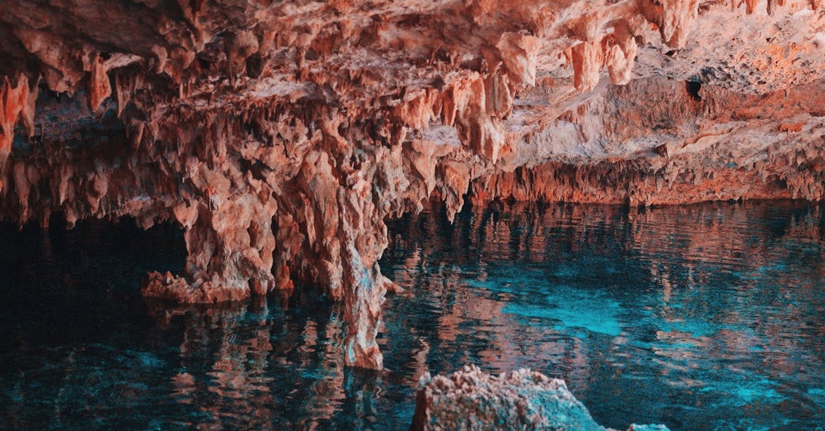 découvrez veternica cave, un lieu fascinant où la nature a sculpté des merveilles souterraines. explorez ses galeries majestueuses et plongez dans une aventure unique au cœur des formations rocheuses.