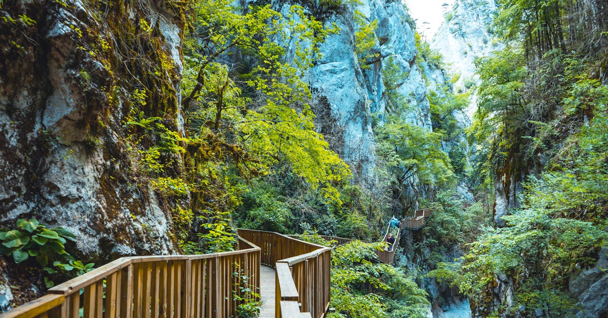 découvrez les sentiers de randonnée en croatie, où des paysages époustouflants et une nature préservée vous attendent. que vous soyez novice ou randonneur expérimenté, explorez des itinéraires variés à travers montagnes, forêts et côtes, et vivez une aventure inoubliable au cœur de la beauté croate.