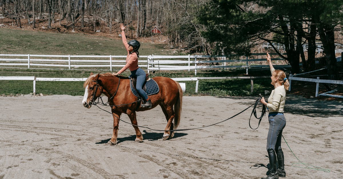 découvrez l'univers fascinant de l'équitation : sports, passion et bien-être équestre. que vous soyez cavalier, amateur ou simplement curieux, explorez les différentes disciplines et le soin apporté à ces nobles animaux.