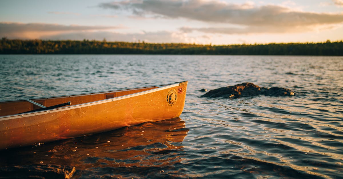 découvrez le canoë-kayak, une activité nautique passionnante qui vous permet d'explorer des rivières et lacs tout en profitant de la nature. que vous soyez débutant ou expérimenté, vivez des aventures inoubliables sur l'eau!