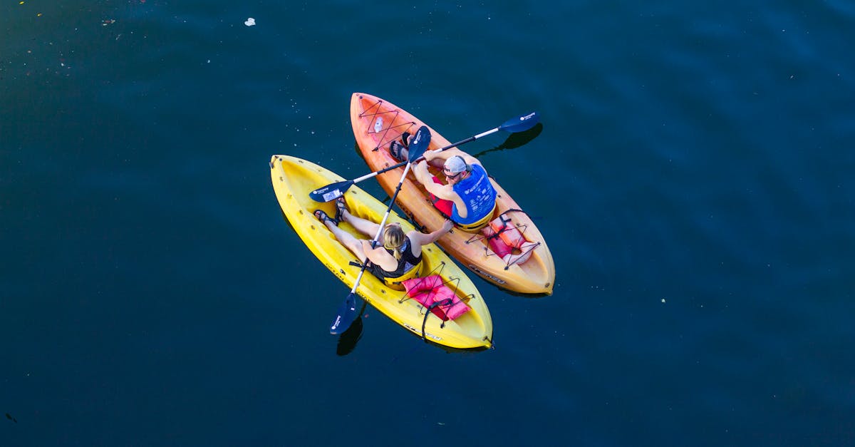 découvrez les joies du kayak, une activité nautique passionnante qui vous permet d'explorer les rivières, les lacs et les côtes. que vous soyez débutant ou expert, vivez des aventures inoubliables au cœur de la nature.