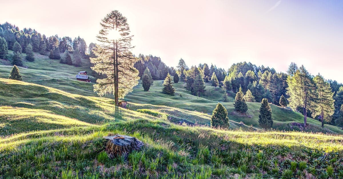 découvrez une variété d'activités de plein air passionnantes, des randonnées en montagne aux sports nautiques, en passant par le camping et l'escalade. profitez de la nature tout en vous adonnant à des aventures inoubliables!