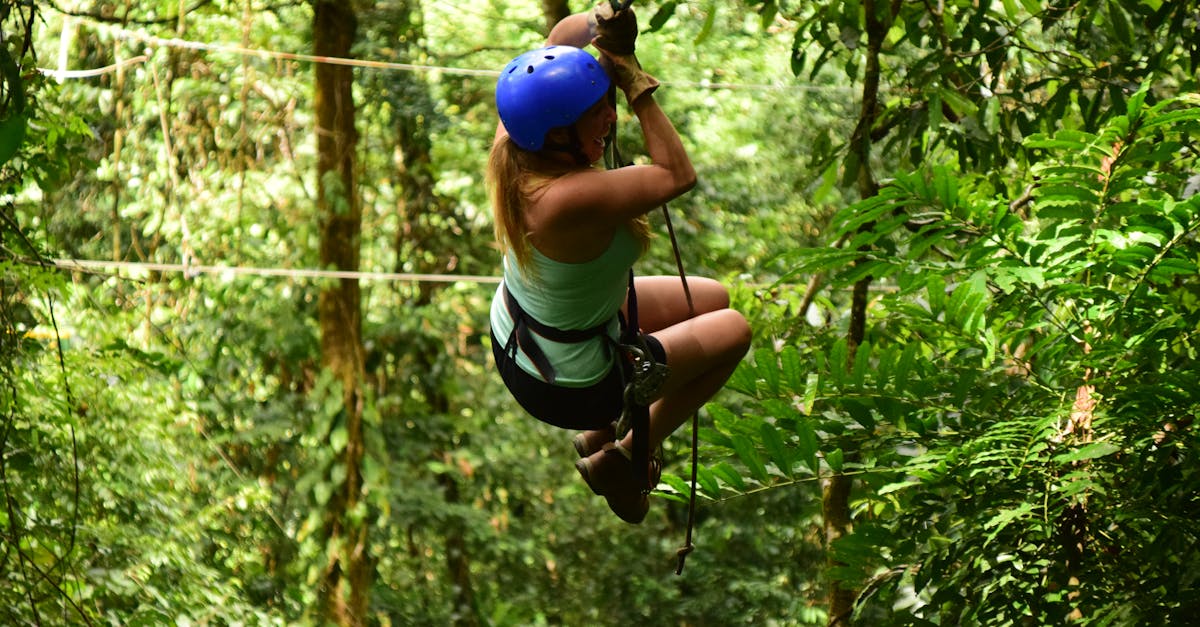 vivez une expérience inoubliable en survolant des paysages époustouflants grâce au ziplining. que vous soyez aventurier ou amateur de sensations fortes, cette activité vous promet des moments de frissons et de découverte au cœur de la nature.