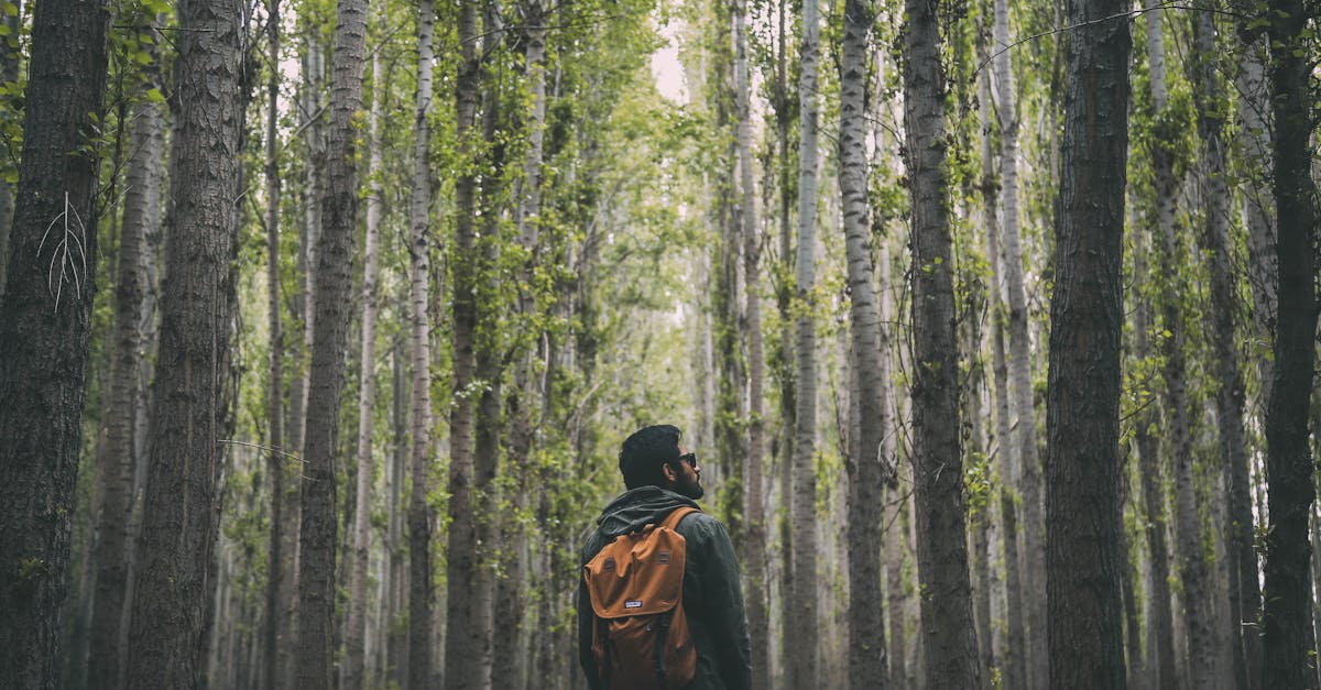 découvrez le plaisir de la randonnée à travers des paysages époustouflants. que vous soyez débutant ou randonneur expérimenté, explorez des sentiers variés, profitez de la nature et vivez des aventures inoubliables en plein air.