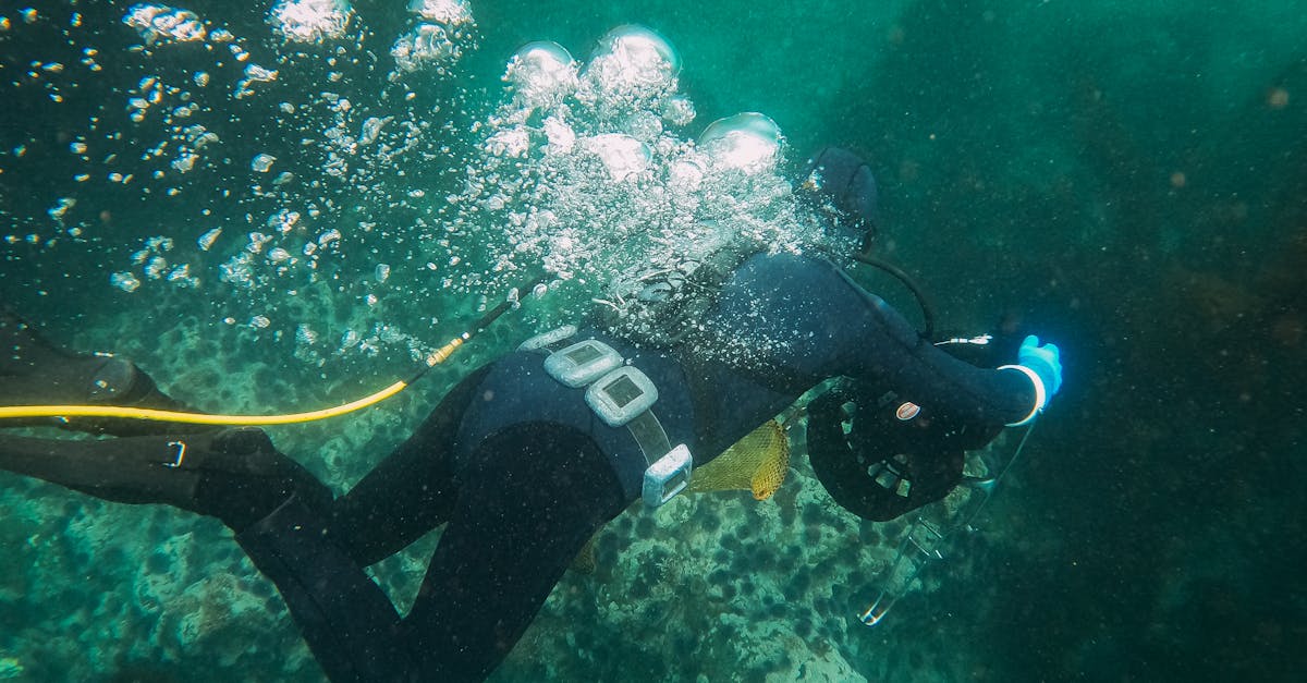 découvrez notre large sélection d'équipements de plongée de haute qualité, adaptés à tous les niveaux. que vous soyez débutant ou plongeur expérimenté, trouvez tout le nécessaire pour vos aventures sous-marines, des combinaisons aux masques en passant par les bouteilles de plongée.