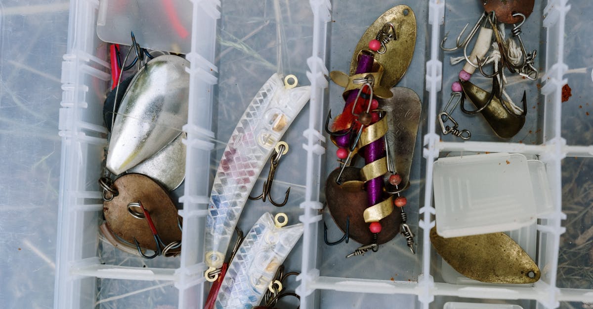 découvrez l'univers passionnant de la pêche sportive ! apprenez les techniques, les meilleurs spots et les conseils pour réussir vos sorties de pêche tout en respectant l'environnement.