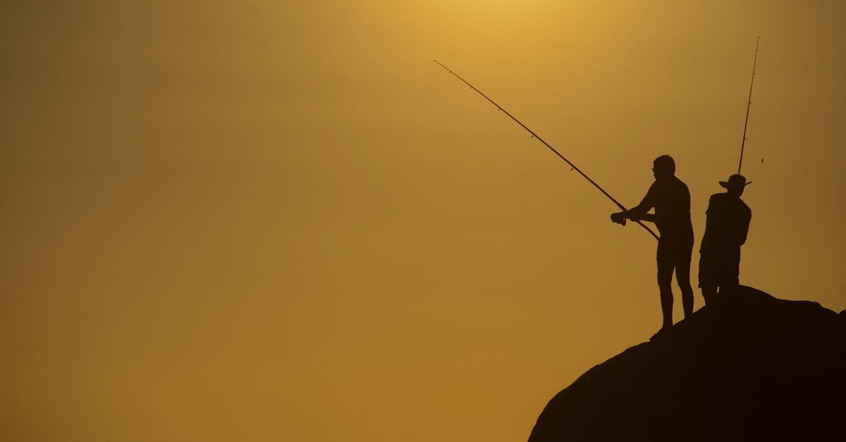 découvrez l'univers fascinant de la pêche : des techniques, des conseils pratiques et les meilleures destinations pour une expérience inoubliable au bord de l'eau.
