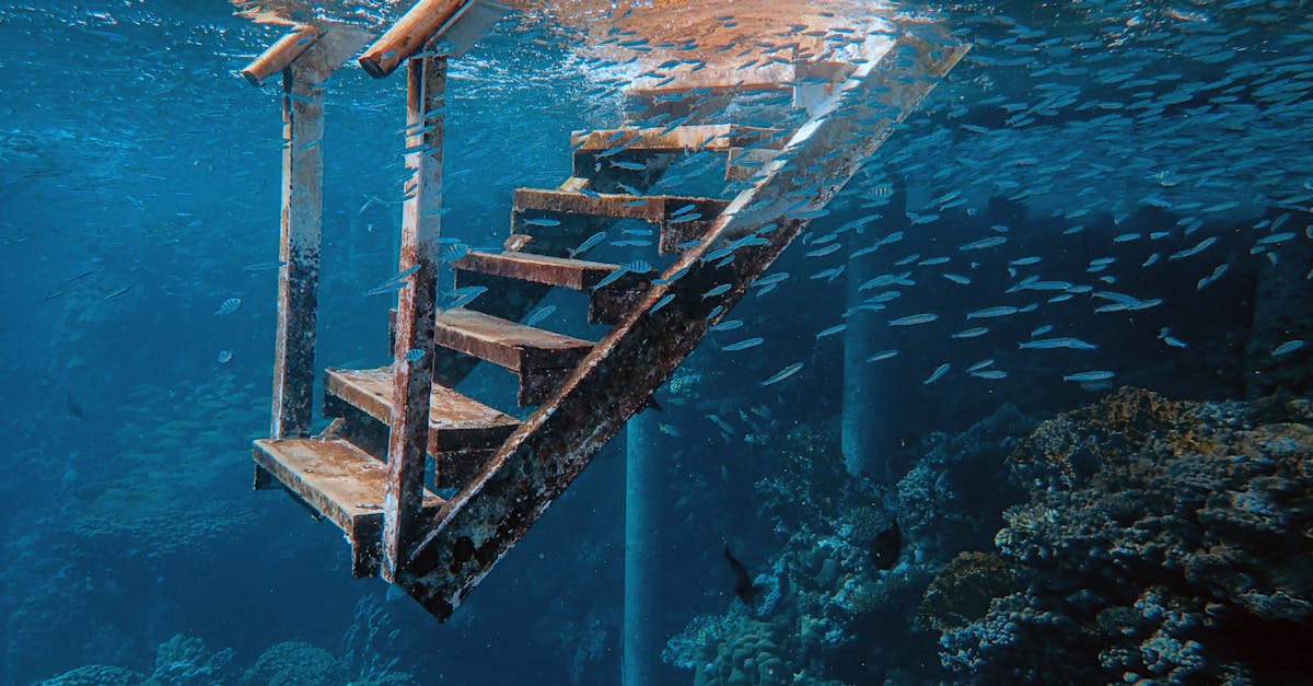 découvrez les merveilles sous-marines de la mer adriatique grâce à nos plongées inoubliables. explorez des sites riches en biodiversité, naviguez parmi des épaves historiques et vivez une aventure aquatique exceptionnelle.
