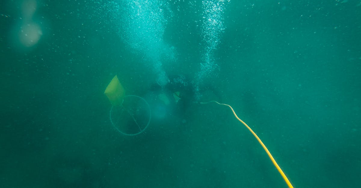 découvrez l'aventure fascinante de la plongée en grotte, une activité qui allie exploration, nature et sensations fortes. plongez dans des paysages sous-marins uniques, explorez des systèmes de cavernes mystérieux et vivez une expérience inoubliable en toute sécurité.