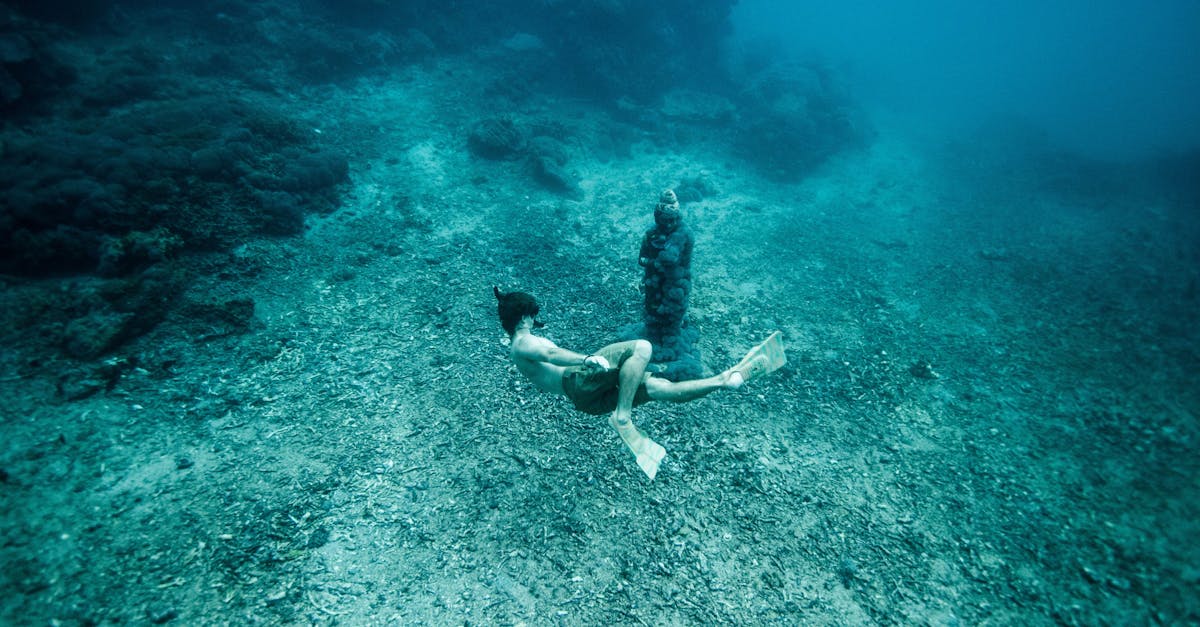 découvrez l'univers fascinant de la plongée en apnée (freediving) : une activité aquatique exaltante qui allie détente, exploration sous-marine et maîtrise de soi. apprenez les techniques essentielles pour plonger en profondeur sans équipement et vivez des moments uniques en communion avec la nature.