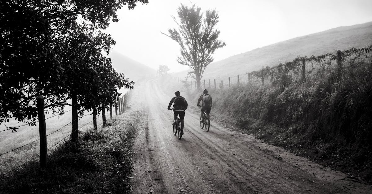 découvrez l'univers du cyclisme : conseils, itinéraires, équipements essentiels et bien-être. que vous soyez débutant ou passionné, trouvez votre inspiration pour pédaler vers de nouvelles aventures.
