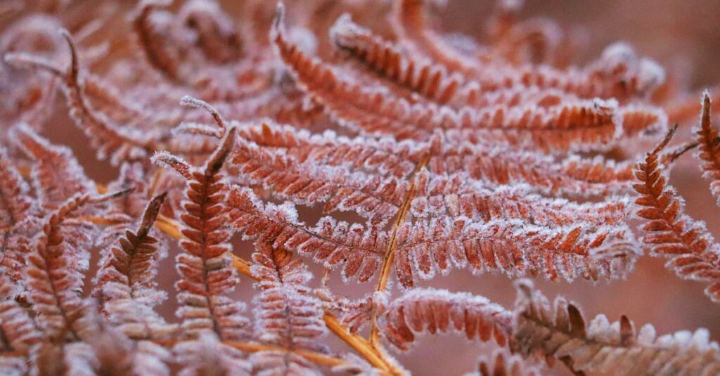 découvrez la beauté sauvage de la nature croate, des paysages époustouflants des parcs nationaux aux eaux cristallines de la mer adriatique. une invitation à explorer la richesse écologique et la diversité des sites naturels de la croatie.