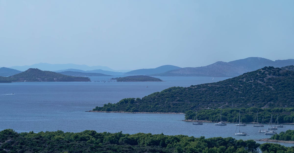découvrez murter, une charmante île croate réputée pour ses plages scintillantes, son ambiance paisible et ses attractions historiques. profitez d'activités nautiques, de paysages pittoresques et d'une délicieuse cuisine locale dans ce petit coin de paradis méditerranéen.