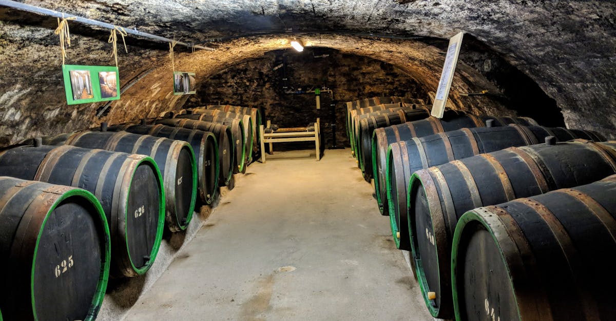 découvrez le riesling, un cépage emblématique aux arômes floraux et fruités. appréciez ses saveurs délicates et sa personnalité unique à travers une sélection de vins raffinés. plongez dans l'univers du riesling et laissez-vous envoûter par cette merveille des terroirs.