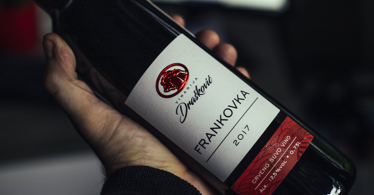 découvrez la frankovka, un cépage fascinant aux arômes riches et complexes. apprenez-en plus sur ses origines, ses caractéristiques et les meilleures associations culinaires pour apprécier pleinement ce vin d'exception.