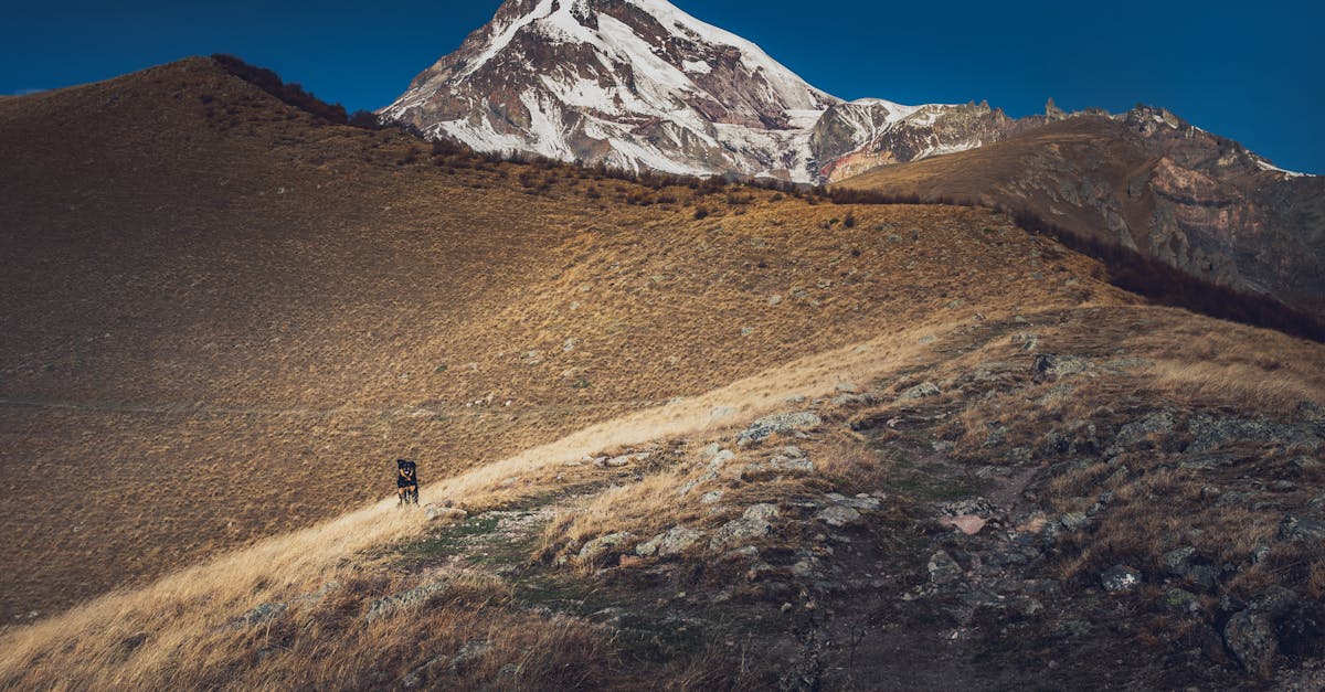 découvrez le kazbek, majestueuse montagne du caucase culminant à 5 033 mètres. plongez dans son histoire fascinante, ses paysages à couper le souffle et les aventures de randonnée qui vous attendent dans cette région unique, mêlant culture et nature.