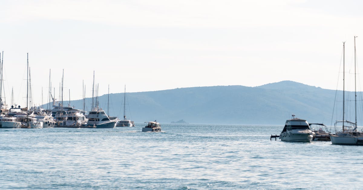 découvrez lokrum, une île enchanteresse située près de dubrovnik, en croatie. plages tranquilles, paysages magnifiques et histoire fascinante vous attendent. explorez ses sentiers, visitez le monastère bénédictin, et laissez-vous séduire par sa nature préservée.