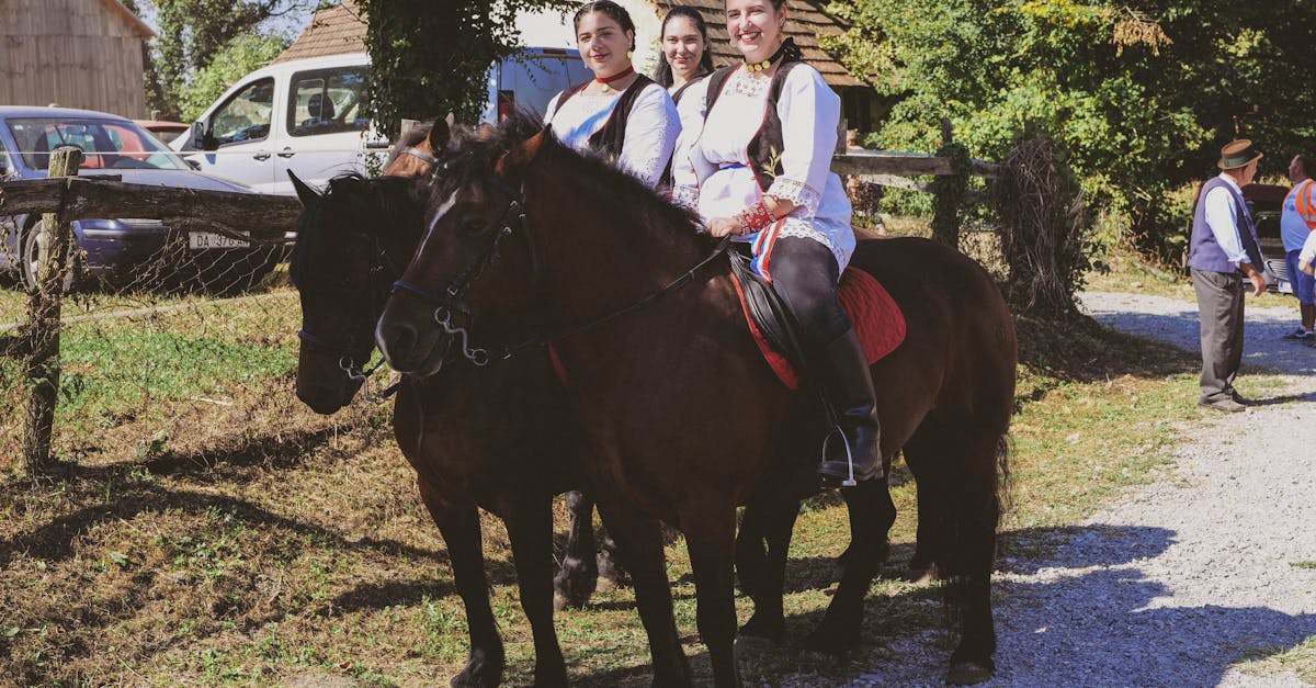 découvrez la richesse de la culture croate à travers ses traditions, sa gastronomie, sa musique et son art. plongez dans l'histoire unique de la croatie et explorez ses coutumes fascinantes qui font de ce pays une destination incontournable.