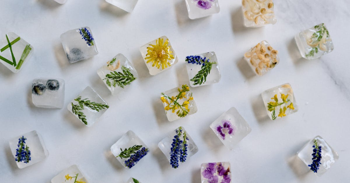 découvrez les multiples bienfaits de la thym, une herbe aromatique prisée pour son parfum envoûtant et ses propriétés médicinales. apprenez comment l'utiliser en cuisine, ainsi que ses vertus pour la santé.