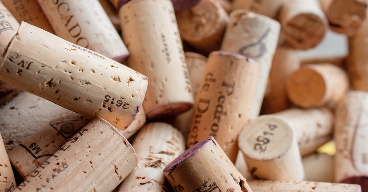 découvrez le zinfandel, un vin rouge emblématique aux arômes riches de fruits rouges et d'épices. apprenez l'histoire et les caractéristiques de ce cépage américain, parfait pour accompagner vos plats préférés.