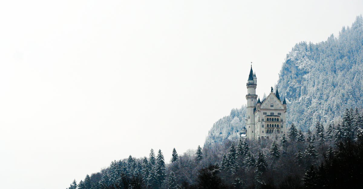 découvrez l'univers fascinant des châteaux à travers l'europe. plongez dans l'histoire, l'architecture et les légendes de ces magnifiques édifices qui témoignent d'un riche patrimoine culturel.