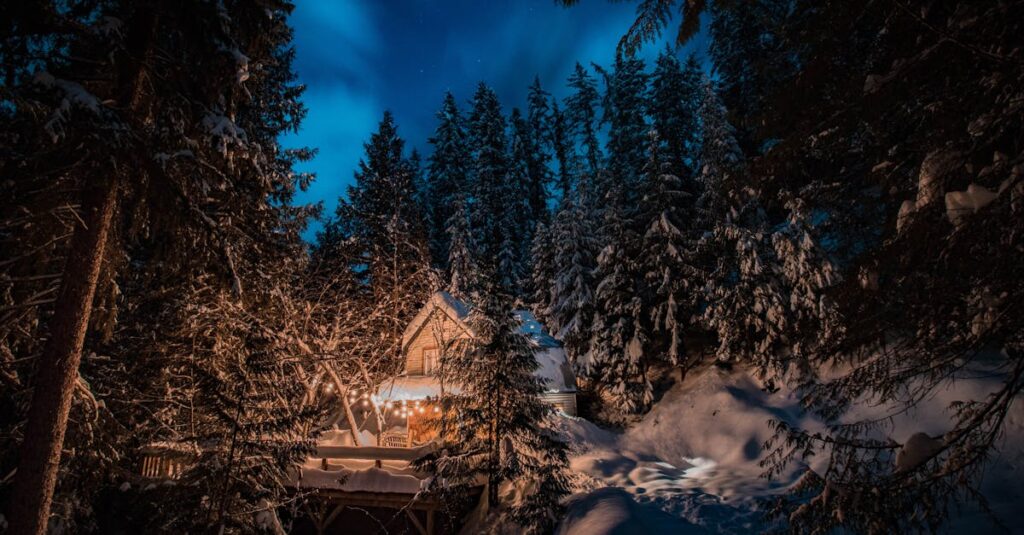 découvrez notre sélection de spécialités de noël, alliant traditions culinaires et délices festifs. plongez dans l'esprit des fêtes avec des recettes savoureuses et des idées de plats pour ravir vos convives.