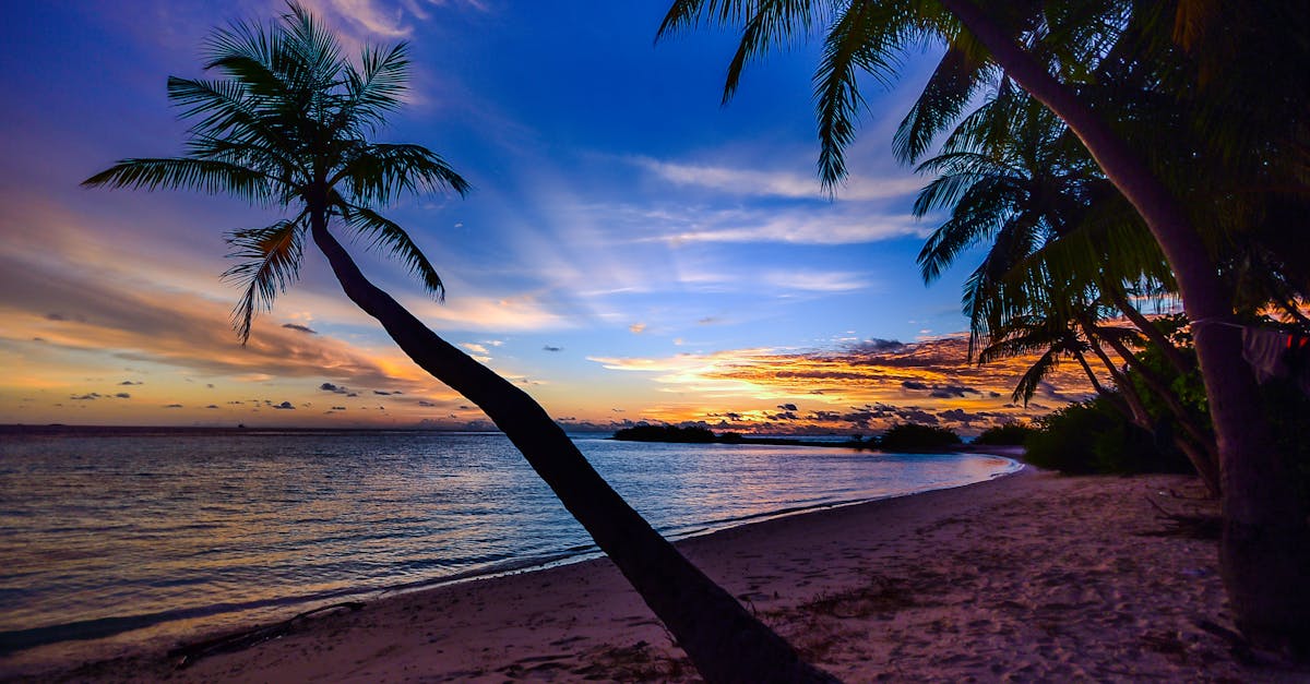 découvrez le paradis incarné, un lieu d'évasion où la beauté naturelle rencontre la tranquillité. explorez des paysages à couper le souffle, savourez des moments de sérénité et laissez-vous emporter par la magie d'un véritable havre de paix.