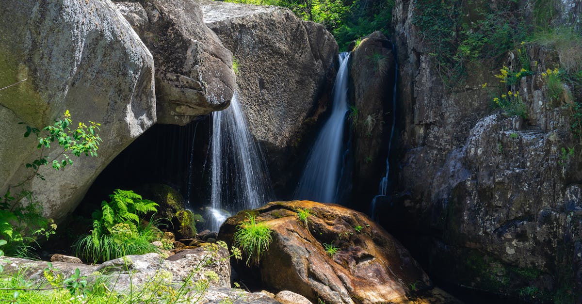 découvrez le geopark, un espace naturel unique où la géologie, la biodiversité et le patrimoine culturel se rencontrent. explorez des paysages époustouflants, participez à des activités éducatives et plongez dans l'histoire de notre planète. une expérience enrichissante pour toute la famille au cœur de la nature.