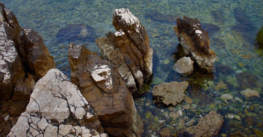 découvrez kvarner, une magnifique région de croatie où la mer rencontre les montagnes. profitez de paysages à couper le souffle, de plages idylliques, et d'une riche culture locale. explorez les villes charmantes et savourez une cuisine délicieuse dans ce véritable coin de paradis.