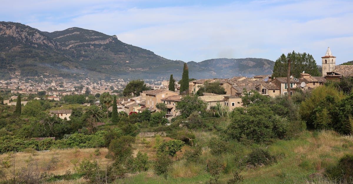 découvrez la tramontana, un vent puissant et emblématique des régions méditerranéennes, apportant fraîcheur et dynamisme. explorez son impact sur le climat, la culture et les paysages de cette belle région.