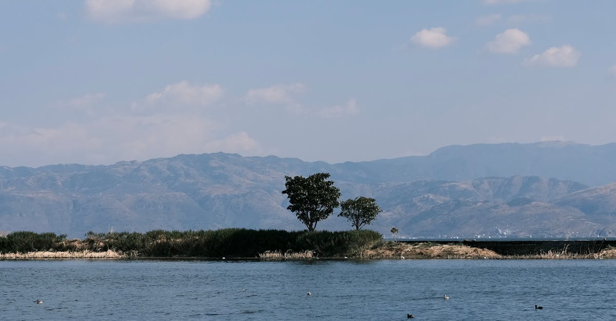 découvrez le lac peruca, un joyau naturel de la croatie, réputé pour ses eaux cristallines et son cadre enchanteur. parfait pour les amoureux de la nature et les passionnés de sports nautiques, ce lieu offre des activités variées allant de la baignade à la pêche. profitez d'une escapade paisible au cœur d'un paysage spectaculaire.