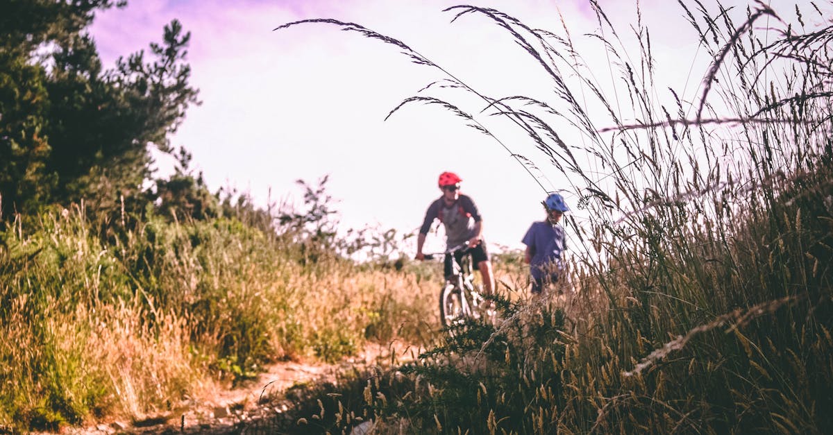 découvrez l'univers du cyclisme : conseils pour débutants, itinéraires pittoresques, équipements indispensables et bienfaits pour la santé. rejoignez une communauté passionnée et pédalez vers de nouvelles aventures!