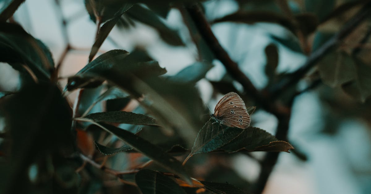découvrez cervar, une solution innovante qui optimise votre santé et votre bien-être. profitez de conseils personnalisés et d'outils performants pour améliorer votre qualité de vie. rejoignez-nous dès aujourd'hui et transformez votre quotidien.