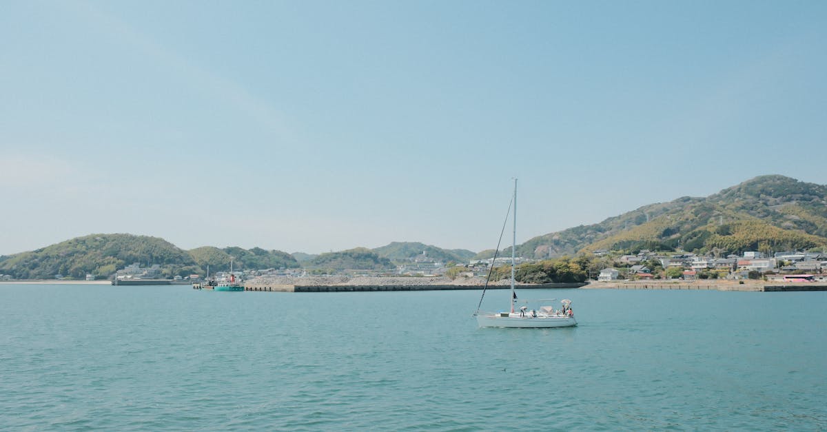 découvrez l'île de rab, un joyau de la mer adriatique célèbre pour ses plages de sable doré, ses paysages époustouflants et son riche patrimoine culturel. explorez les charmants villages, savourez la délicieuse cuisine locale et vivez des aventures en plein air sur cette destination idéale pour les amoureux de la nature et les passionnés d'histoire.