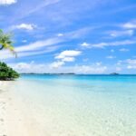 découvrez l'évasion ultime avec nos plages paradisiaques, où le sable doré et les eaux turquoise vous attendent. profitez d'activités nautiques, de moments de détente au soleil et d'une ambiance estivale exceptionnelle.