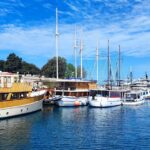 découvrez la croatie avec notre guide de voyage complet. explorez ses paysages époustouflants, ses plages paradisiaques et sa riche histoire culturelle. obtenez des conseils pratiques pour planifier votre séjour et vivre des expériences inoubliables en terre croate.
