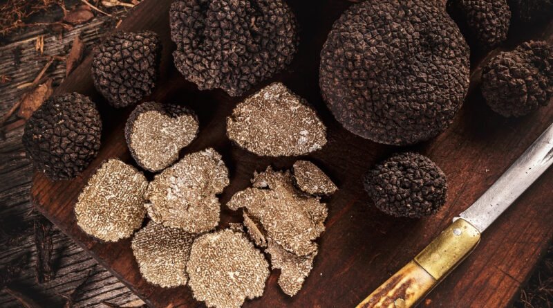 Delicacy black truffles