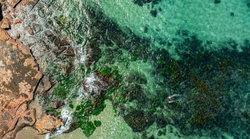 découvrez karpinjan beach, une plage idyllique de la côte croate, célèbre pour ses eaux cristallines, ses paysages sereins et son ambiance relaxante. parfait pour les familles, les amoureux de la nature et les passionnés de sports nautiques.