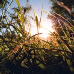découvrez lika-karlovac, une région croate riche en paysages naturels, en histoires fascinantes et en activités en plein air. explorez ses parcs nationaux, ses rivières cristallines et savourez des spécialités locales dans un cadre authentique.
