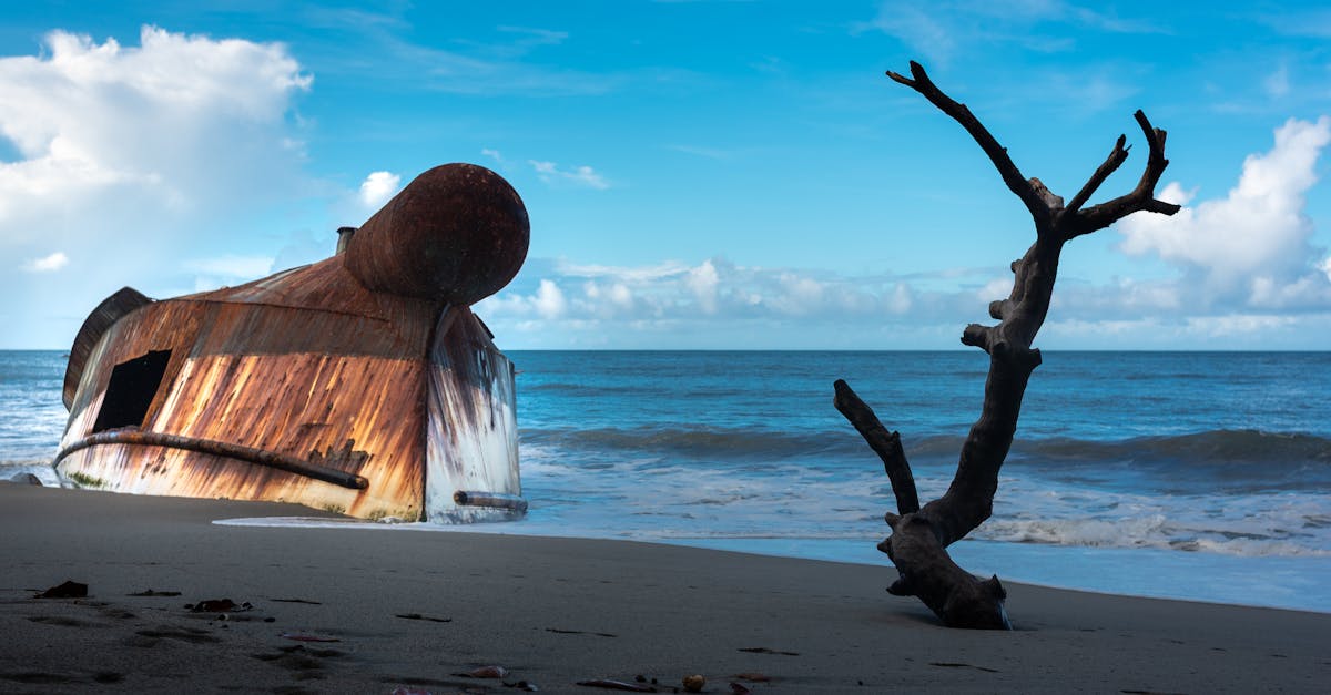 découvrez polidor beach, une destination paradisiaque où le sable doré et les eaux turquoise vous attendent. profitez de moments de détente, d'activités nautiques passionnantes et de paysages à couper le souffle. que vous soyez en famille ou entre amis, polidor beach est l'endroit idéal pour des vacances inoubliables.