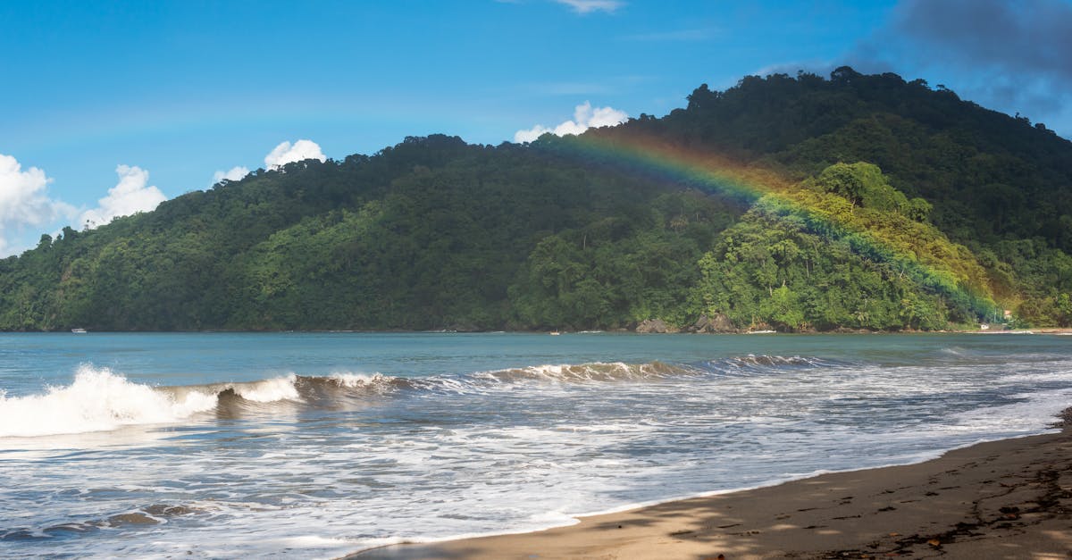 découvrez polidor beach, un véritable paradis sur terre où le sable doré rencontre des eaux cristallines. profitez d'activités balnéaires relaxantes, de restaurants de bord de plage exquis et d'une ambiance chaleureuse pour toute la famille. un lieu incontournable pour vos vacances ensoleillées.