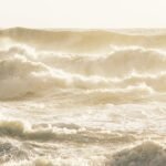 découvrez porto sole beach, un magnifique refuge balnéaire où le sable doré rencontre les eaux cristallines. profitez de moments de détente, d'activités nautiques et d'un cadre naturel enchanteur pour des vacances inoubliables.