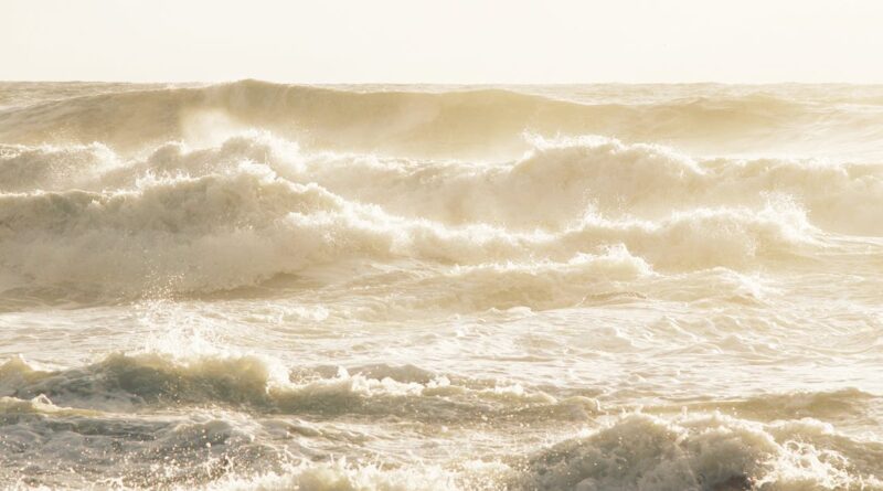 découvrez porto sole beach, un magnifique refuge balnéaire où le sable doré rencontre les eaux cristallines. profitez de moments de détente, d'activités nautiques et d'un cadre naturel enchanteur pour des vacances inoubliables.