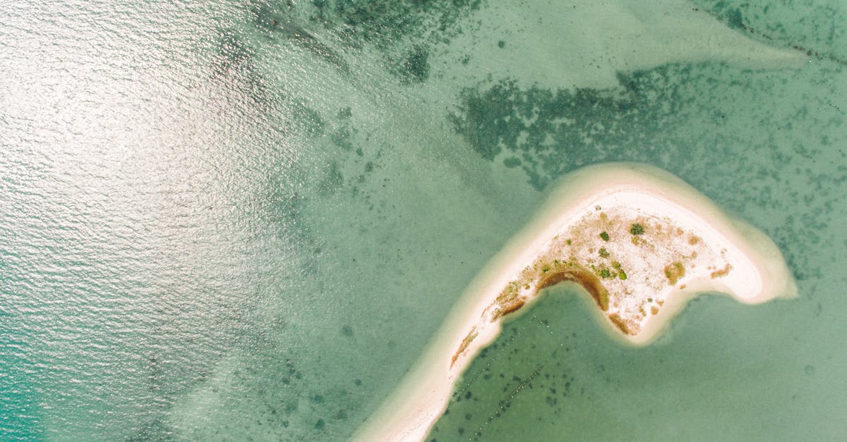 Punta Rata Carte Découvrez la plage de Punta Rata en Croatie : un joyau côtier à ...