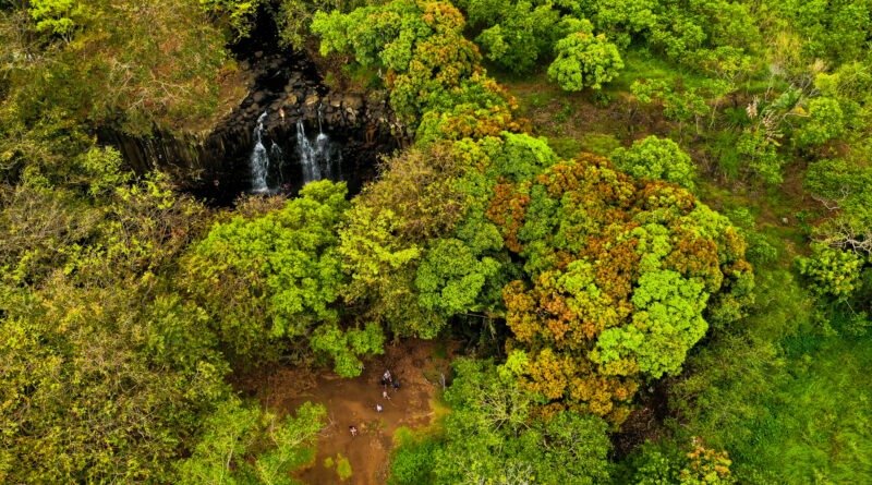 Rochester Falls On The Island Of Mauritius.Waterfall in the jungle of the tropical island of