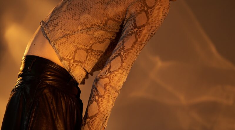 Serpent sartorial charm