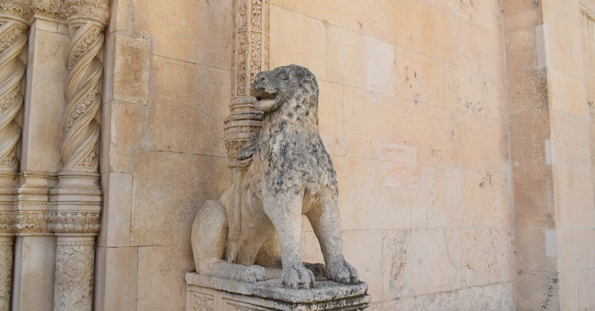 découvrez šibenik, une ville historique en croatie, réputée pour ses magnifiques cathédrales, ses ruelles pittoresques et sa proximité avec les parcs nationaux. explorez le riche patrimoine culturel et profitez des paysages côtiers époustouflants.